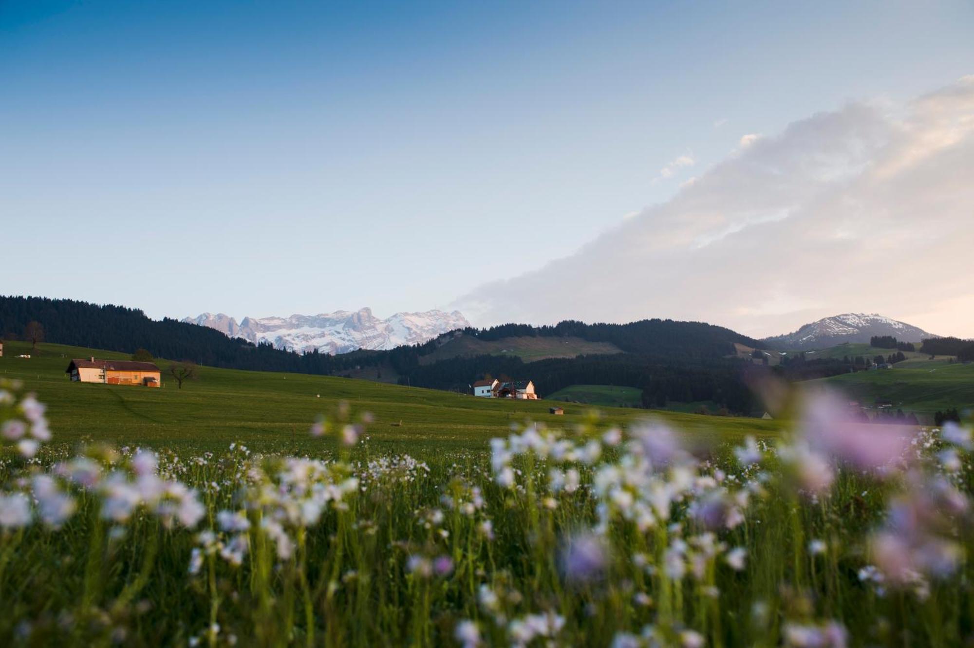 Hotel Landgasthof Eischen Appenzell Dış mekan fotoğraf